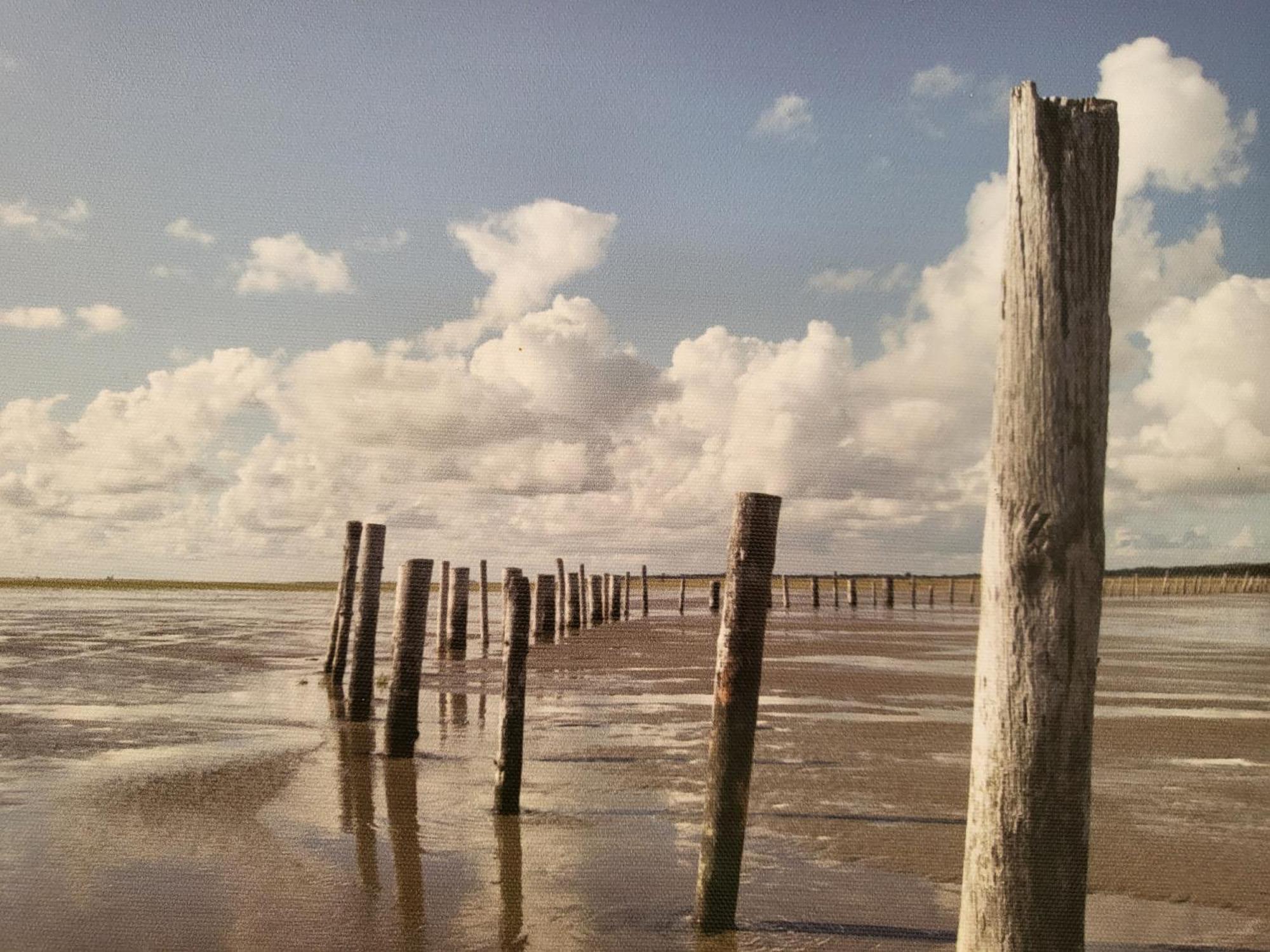 Ferienwohnung "Hummergrund" Sankt Peter-Ording Bagian luar foto